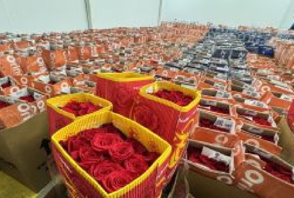 Dia dos Namorados impulsiona mercado de flores e deve elevar vendas em até 7% no Brasil
