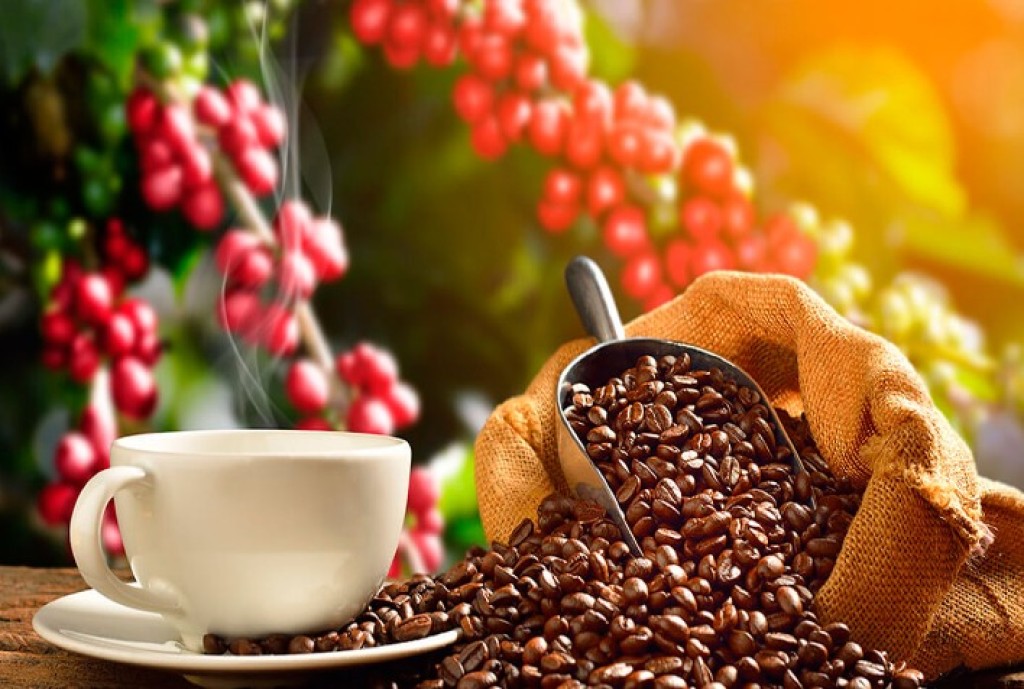 Café dispara nas bolsas internacionais com atraso da colheita, estoques baixos e preocupação com a qualidade da safra brasileira
